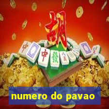 numero do pavao